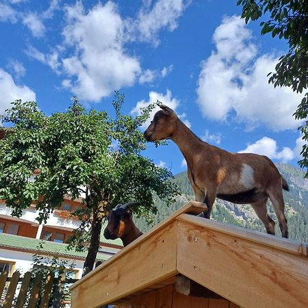 Ferienhof Schoene Aussicht Pfunds Zewnętrze zdjęcie